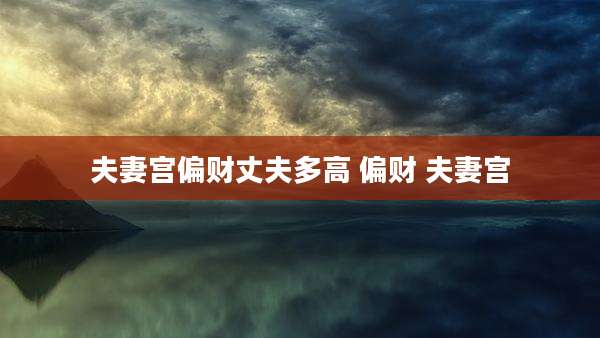 夫妻宫偏财丈夫多高 偏财 夫妻宫