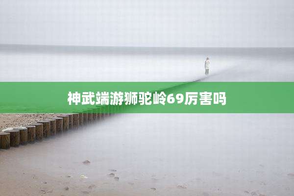神武端游狮驼岭69厉害吗
