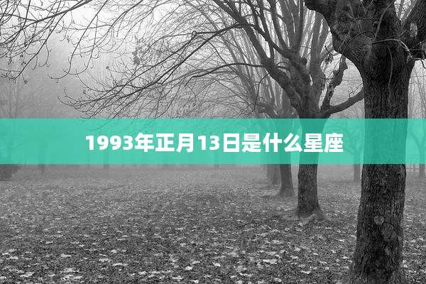 1993年正月13日是什么星座