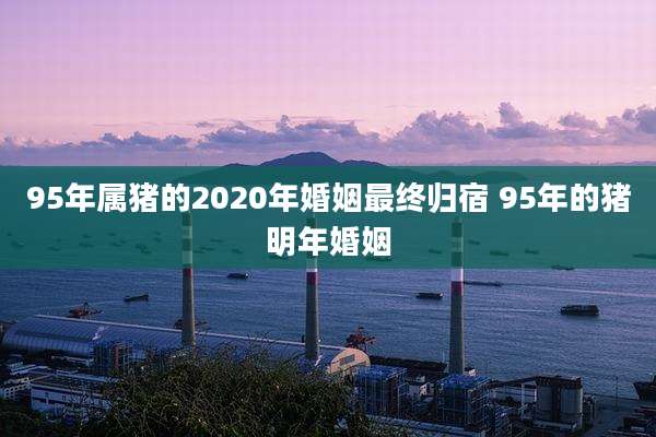95年属猪的2020年婚姻最终归宿 95年的猪明年婚姻