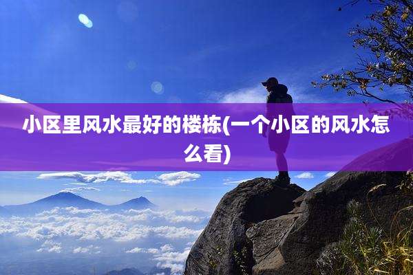 小区里风水最好的楼栋(一个小区的风水怎么看)