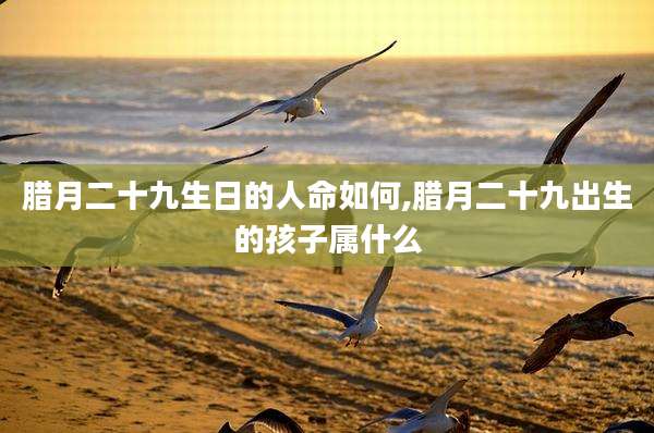 腊月二十九生日的人命如何,腊月二十九出生的孩子属什么