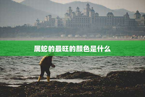 属蛇的最旺的颜色是什么