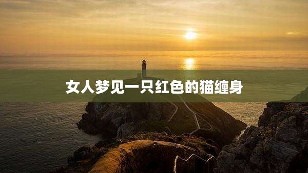 女人梦见一只红色的猫缠身