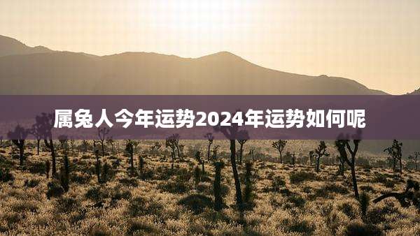 属兔人今年运势2024年运势如何呢