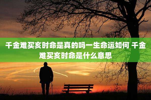千金难买亥时命是真的吗一生命运如何 千金难买亥时命是什么意思