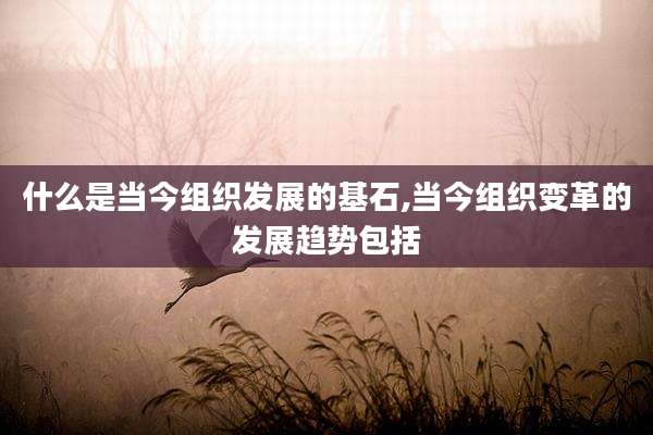 什么是当今组织发展的基石,当今组织变革的发展趋势包括