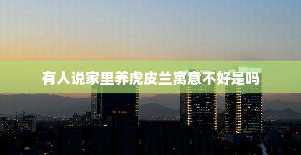 有人说家里养虎皮兰寓意不好是吗