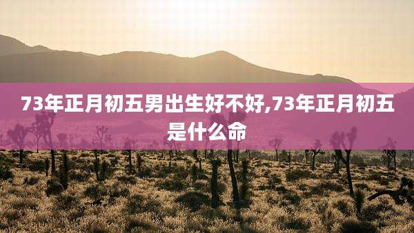 73年正月初五男出生好不好,73年正月初五是什么命