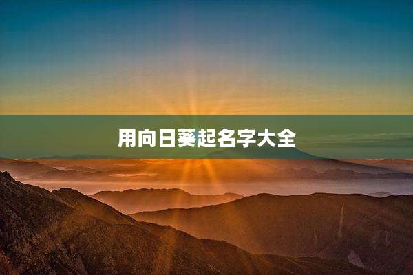 用向日葵起名字大全
