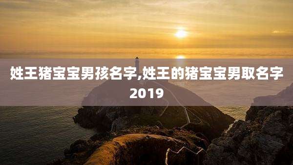 姓王猪宝宝男孩名字,姓王的猪宝宝男取名字2019