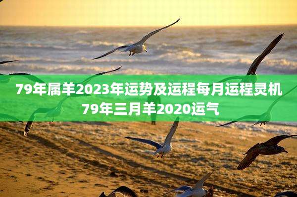 79年属羊2023年运势及运程每月运程灵机 79年三月羊2020运气