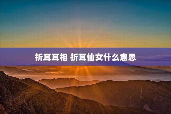 折耳耳相 折耳仙女什么意思