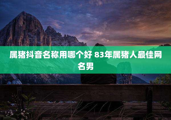 属猪抖音名称用哪个好 83年属猪人最佳网名男
