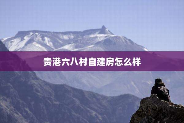 贵港六八村自建房怎么样