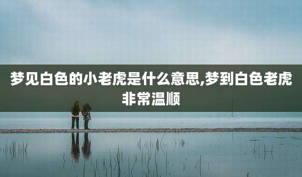梦见白色的小老虎是什么意思,梦到白色老虎非常温顺