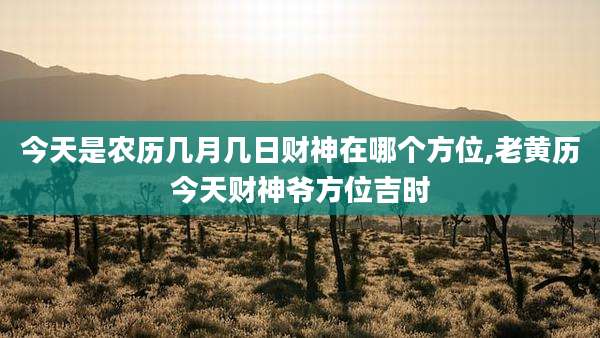 今天是农历几月几日财神在哪个方位,老黄历今天财神爷方位吉时