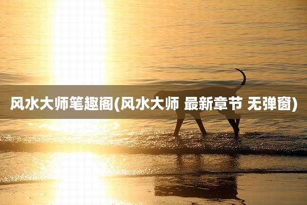 风水大师笔趣阁(风水大师 最新章节 无弹窗)