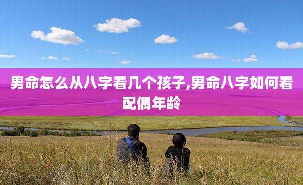男命怎么从八字看几个孩子,男命八字如何看配偶年龄