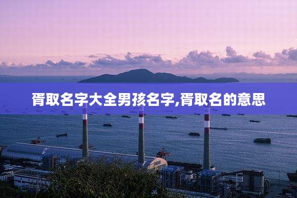 胥取名字大全男孩名字,胥取名的意思