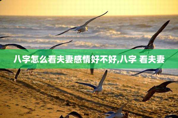 八字怎么看夫妻感情好不好,八字 看夫妻