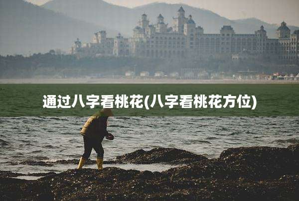 通过八字看桃花(八字看桃花方位)