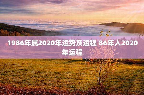 1986年属2020年运势及运程 86年人2020年运程