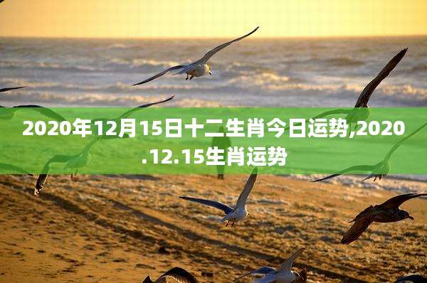 2020年12月15日十二生肖今日运势,2020.12.15生肖运势