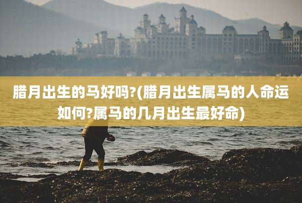 腊月出生的马好吗?(腊月出生属马的人命运如何?属马的几月出生最好命)