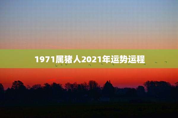 1971属猪人2021年运势运程