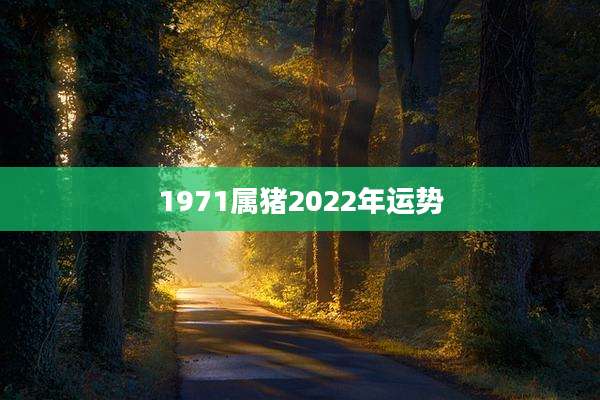 1971属猪2022年运势