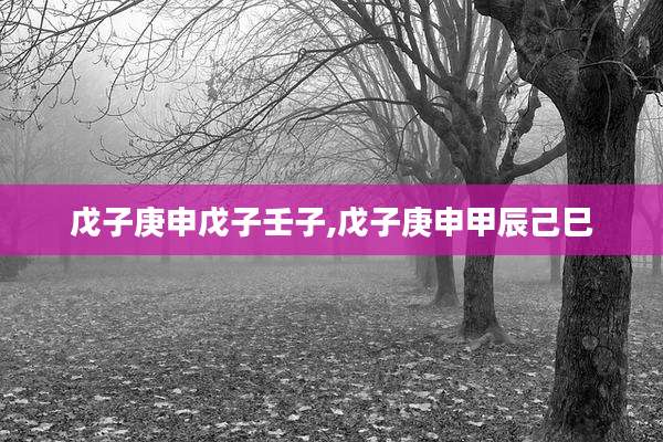 戊子庚申戊子壬子,戊子庚申甲辰己巳