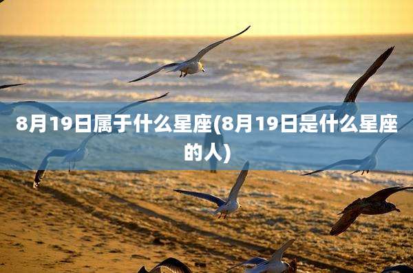 8月19日属于什么星座(8月19日是什么星座的人)