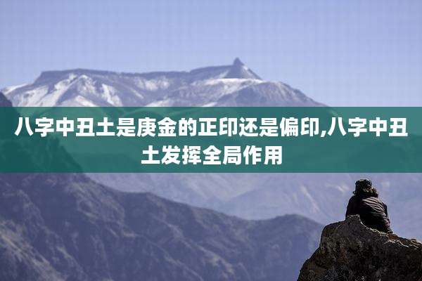 八字中丑土是庚金的正印还是偏印,八字中丑土发挥全局作用