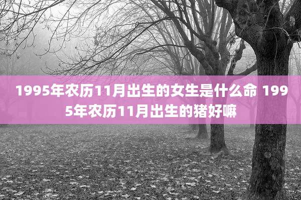 1995年农历11月出生的女生是什么命 1995年农历11月出生的猪好嘛
