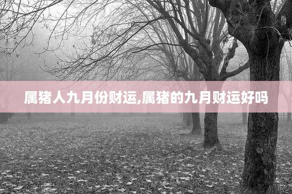 属猪人九月份财运,属猪的九月财运好吗