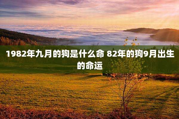 1982年九月的狗是什么命 82年的狗9月出生的命运