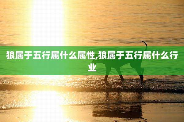狼属于五行属什么属性,狼属于五行属什么行业