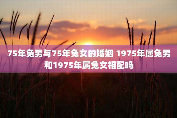 75年兔男与75年兔女的婚姻 1975年属兔男和1975年属兔女相配吗