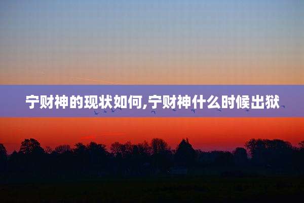宁财神的现状如何,宁财神什么时候出狱