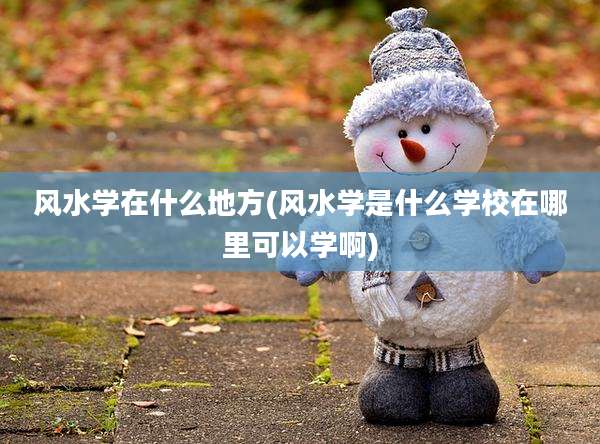 风水学在什么地方(风水学是什么学校在哪里可以学啊)