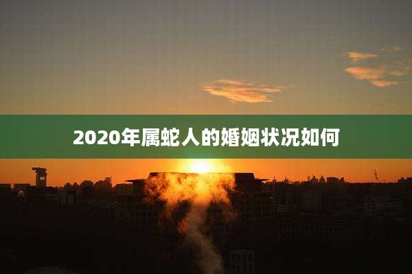 2020年属蛇人的婚姻状况如何