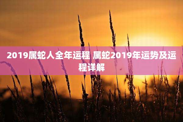 2019属蛇人全年运程 属蛇2019年运势及运程详解