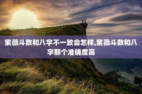 紫薇斗数和八字不一致会怎样,紫薇斗数和八字那个准确度高
