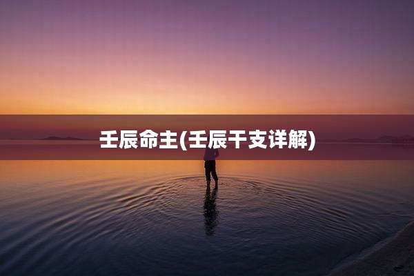 壬辰命主(壬辰干支详解)