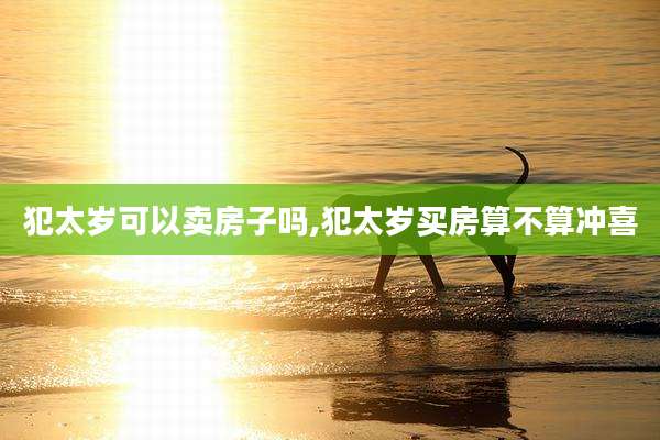 犯太岁可以卖房子吗,犯太岁买房算不算冲喜