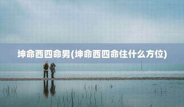 坤命西四命男(坤命西四命住什么方位)