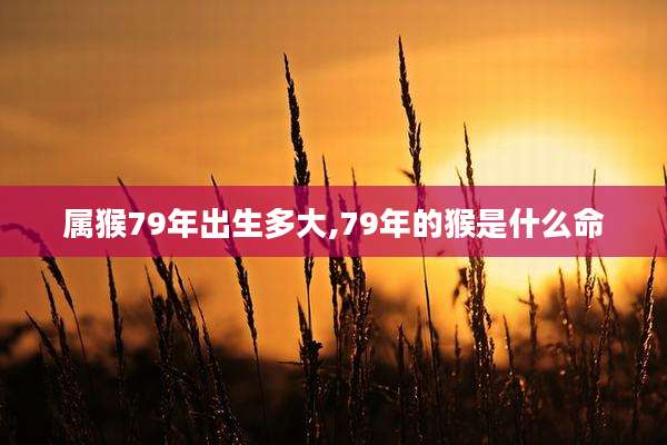 属猴79年出生多大,79年的猴是什么命