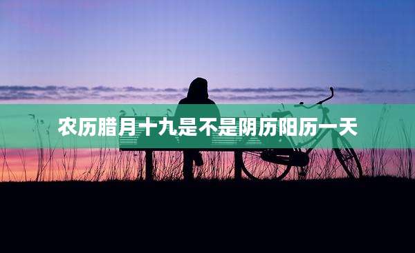 农历腊月十九是不是阴历阳历一天