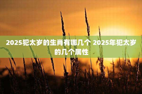 2025犯太岁的生肖有哪几个 2025年犯太岁的几个属性